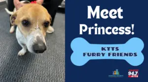 fotsch-furry-friends-2-4