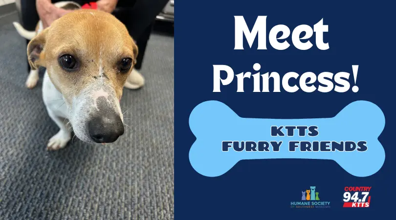 fotsch-furry-friends-2-4