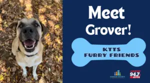 fotsch-furry-friends-4-3