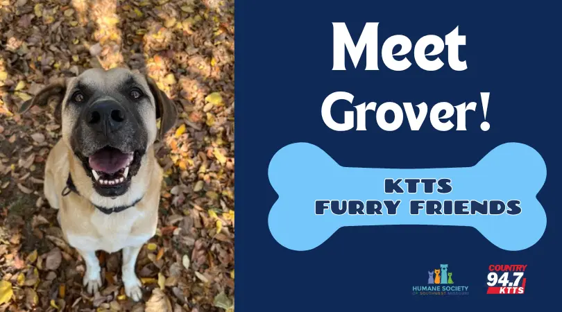 fotsch-furry-friends-4-3