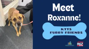 fotsch-furry-friends-5-2