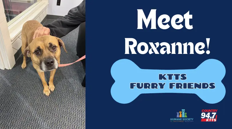 fotsch-furry-friends-5-2