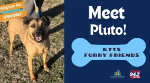 fotsch-furry-friends-6-2