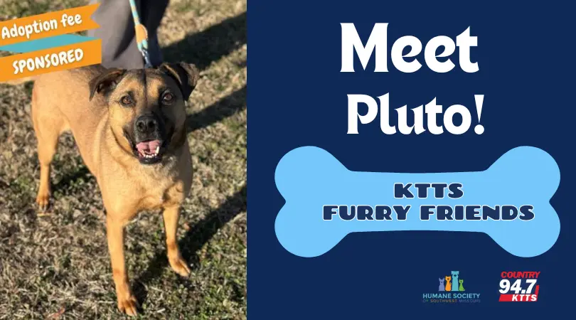 fotsch-furry-friends-6-2