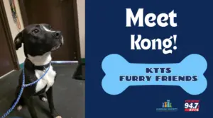 fotsch-furry-friends-7-2