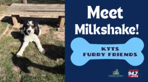 fotsch-furry-friends-8-2