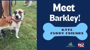fotsch-furry-friends-10-2