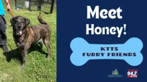 fotsch-furry-friends-11-2