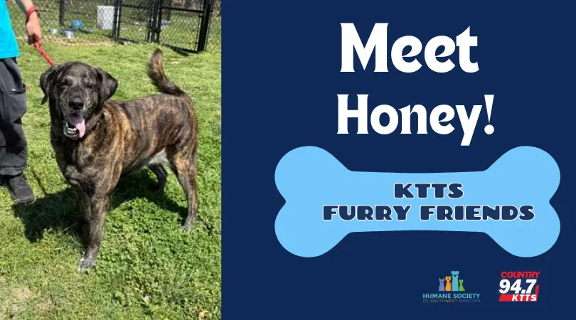 fotsch-furry-friends-11-2