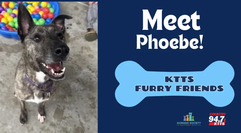 fotsch-furry-friends-14-2
