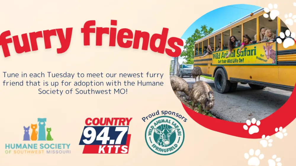 furry-friends-updated-graphic-3