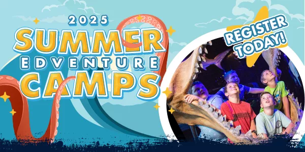 2025_wow_summercamp_emailheader_600x300