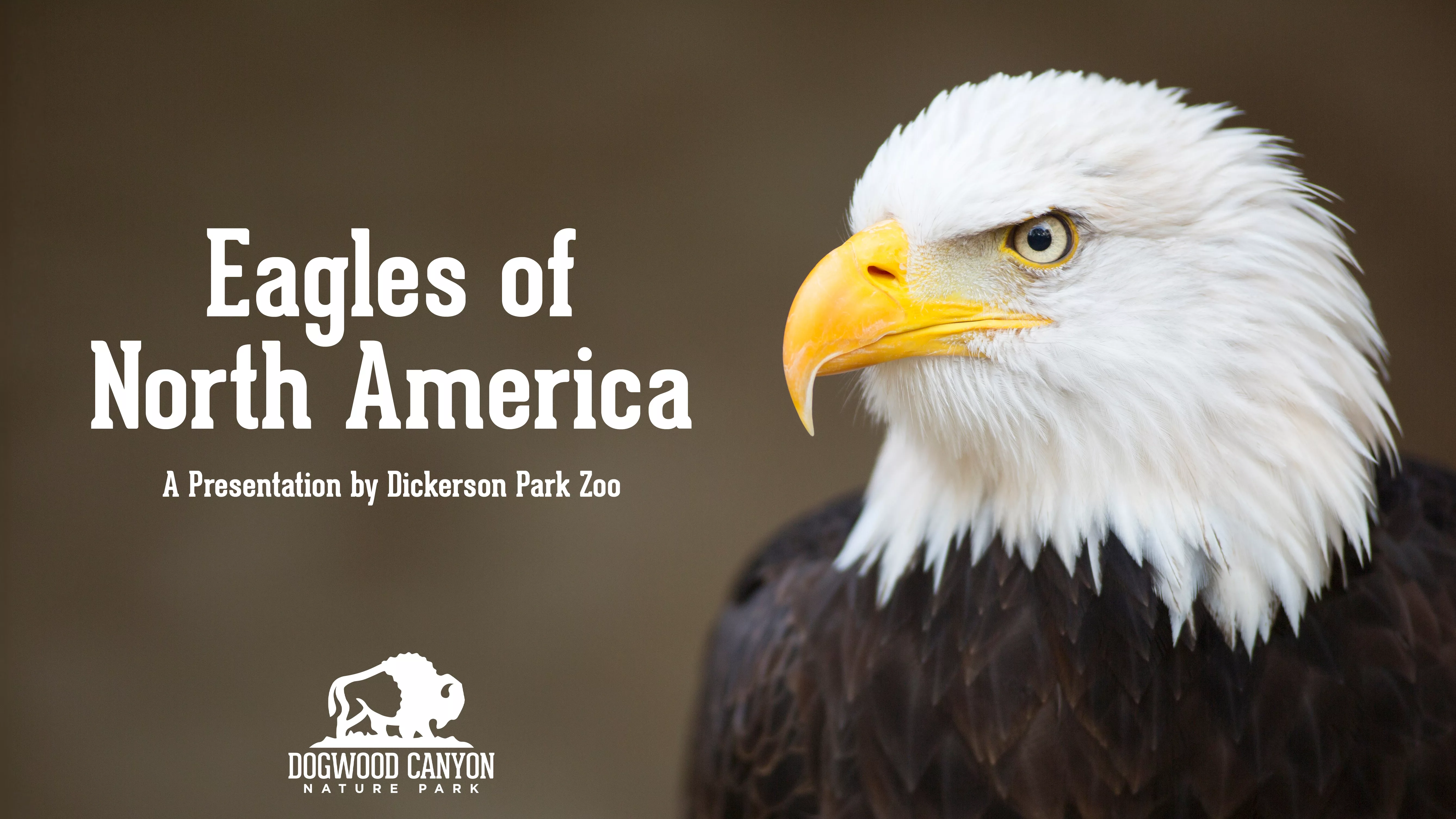 11-2_eagle-talks-fb-event-header