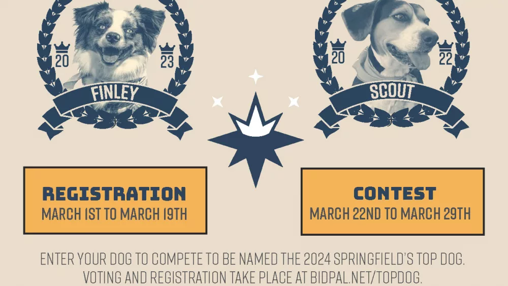 springfields-top-dog-2024-flyer-final-compressed