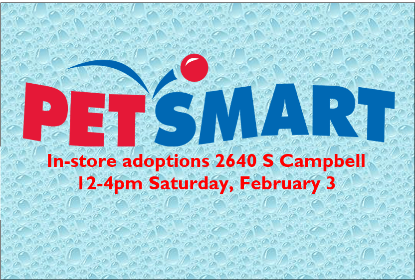 Petsmart in store hot sale adoptions