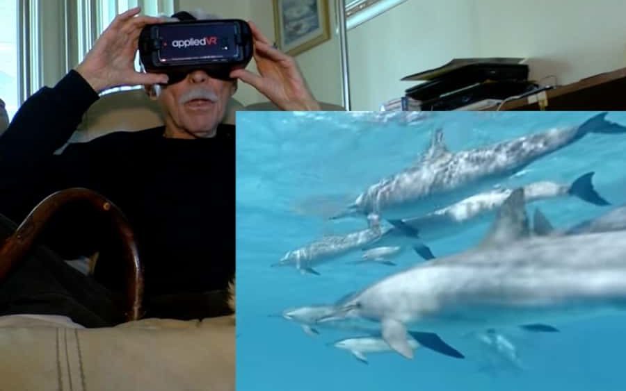 vr-swimming-with-dolphins_1536746487603-jpg_97195535_ver1-0