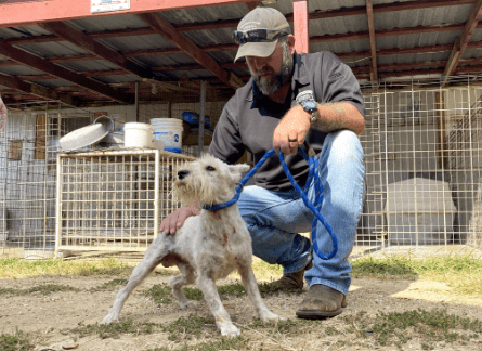 humane-society-of-missouri-dog-rescue-in-ava-png
