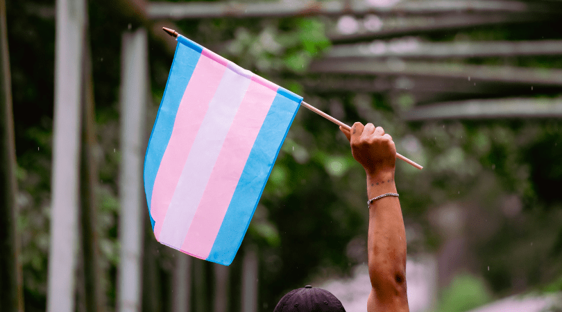 untitled-design2-png