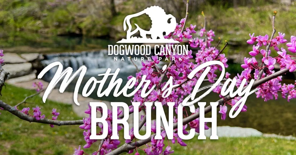 2023_dwc_mothersday_brunchfbheader_1920x1005-jpg