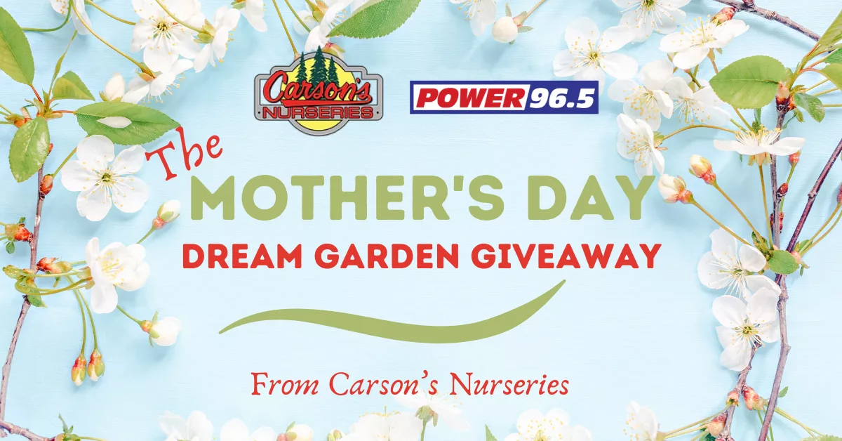 carsons-mothers-day-2