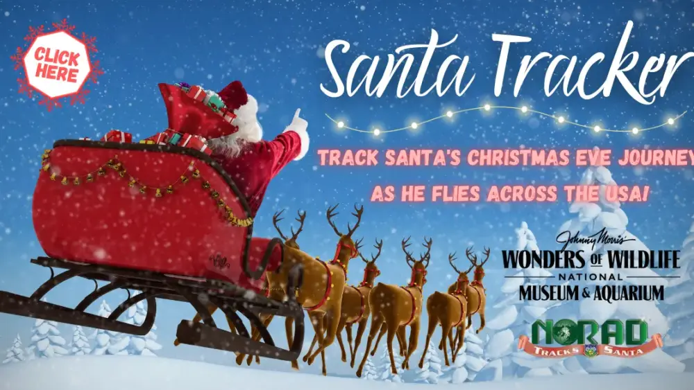 santa-tracker-2025-png