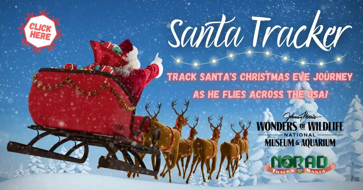 santa-tracker-2025-png