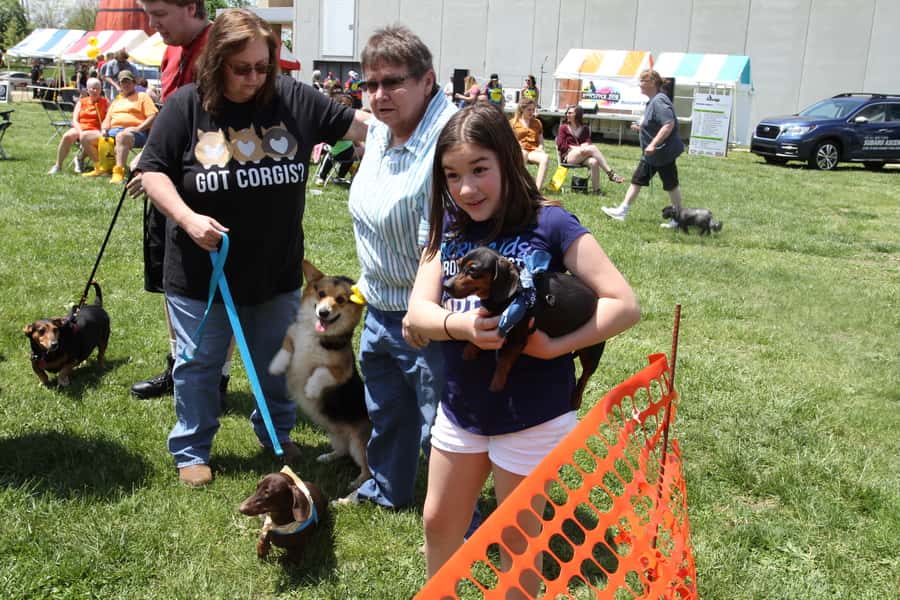 img_4908_1525550450121_85977900_ver1-0_900_675