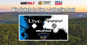 live-and-collective-soul-graphic-updated