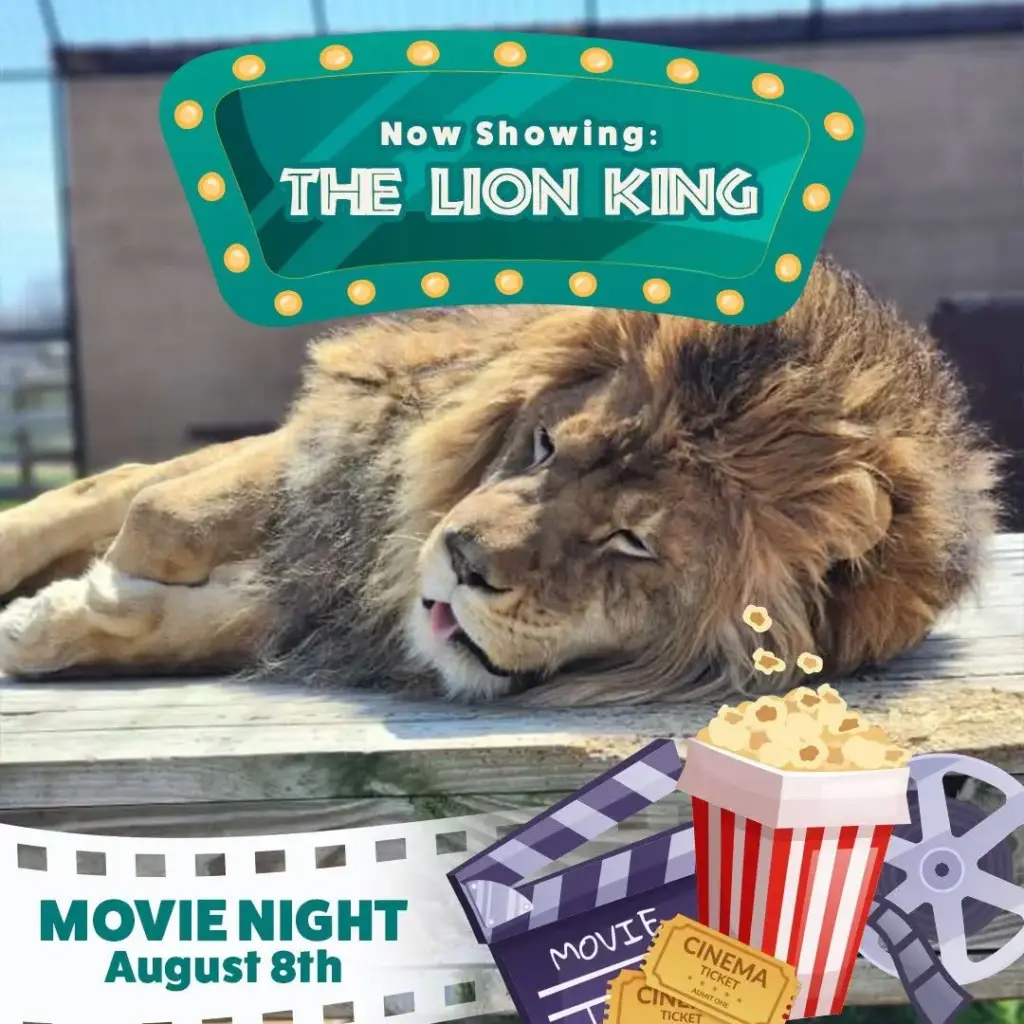 lion-day-movie-jpg-3
