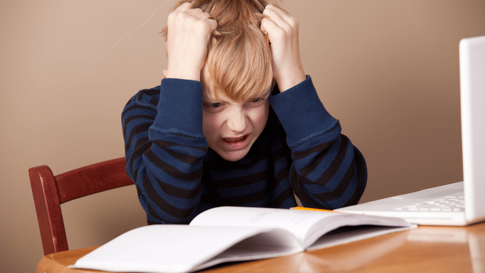 untitled-1000-x-563-px-2-3