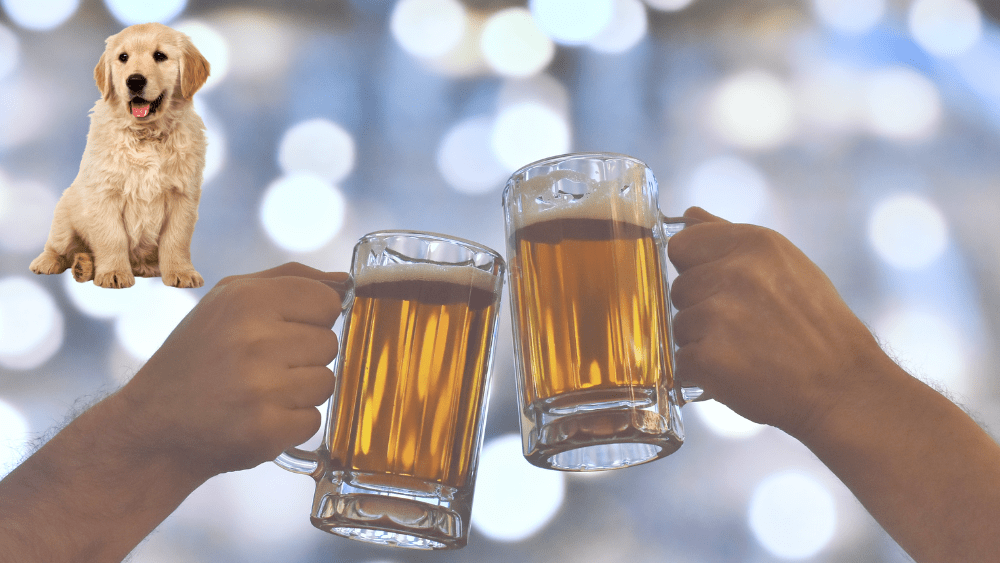 Two beers and a puppy Summit Master