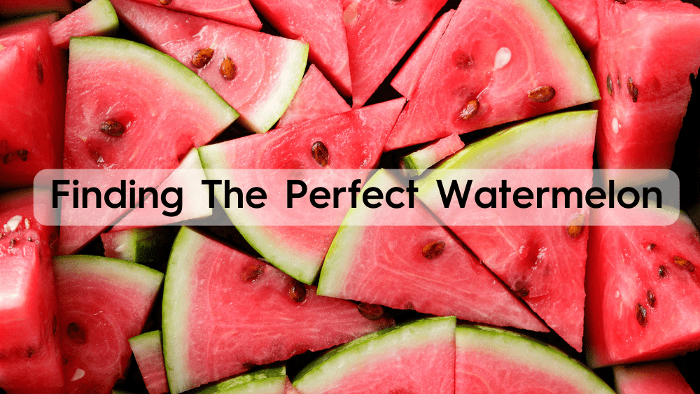 the-perfect-watermelon