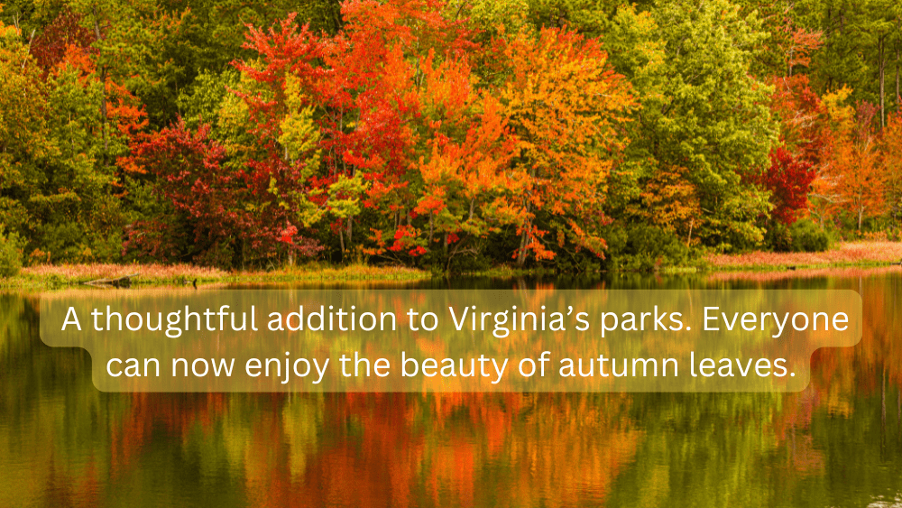 this-is-such-a-thoughtful-addition-to-virginias-parks-its-wonderful-that-everyone-can-now-enjoy-the-beauty-of-autumn-leaves