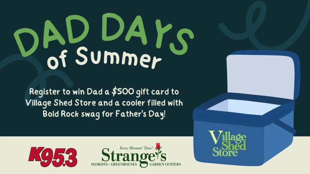 wkhk-dad-days-of-summer1