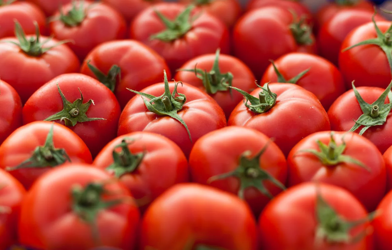 tomatos-background