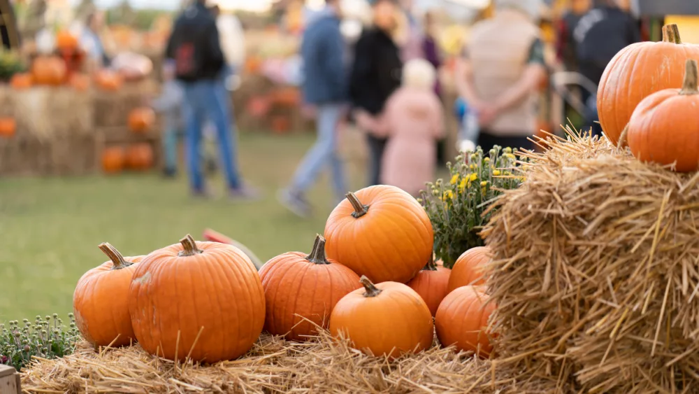 pumpkins-on-straw-bales-against-the-background-of-people-at-an-agricultural-fair