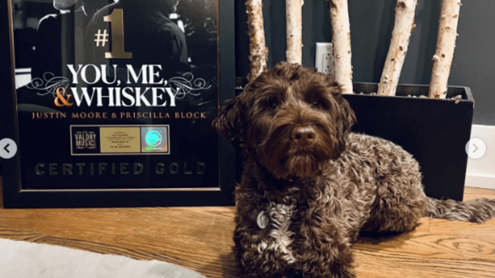 untitled-design-1-36