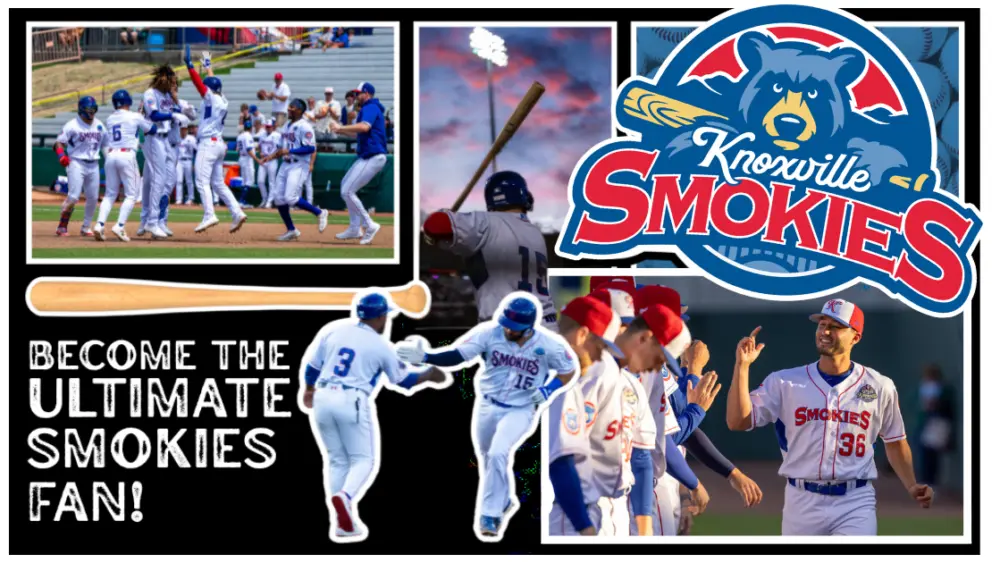 untitled-design-31-2