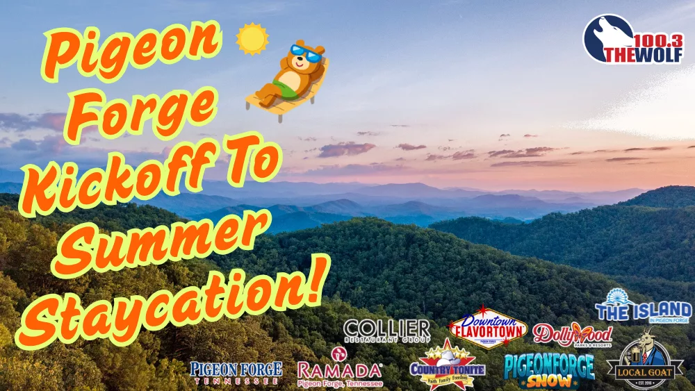 summer-staycation-2