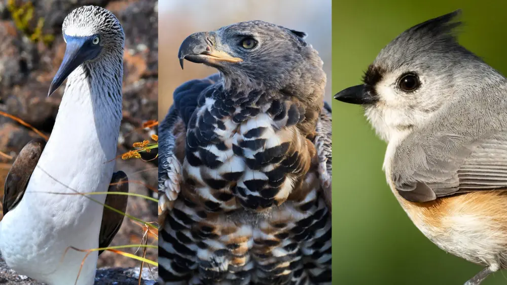 6905331a0e8379e0aa36080a142988