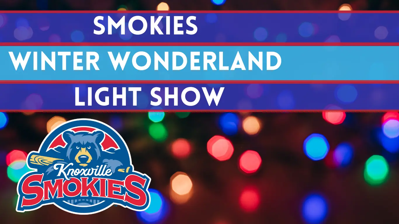 smokies-winter-wonderland-light-show-2