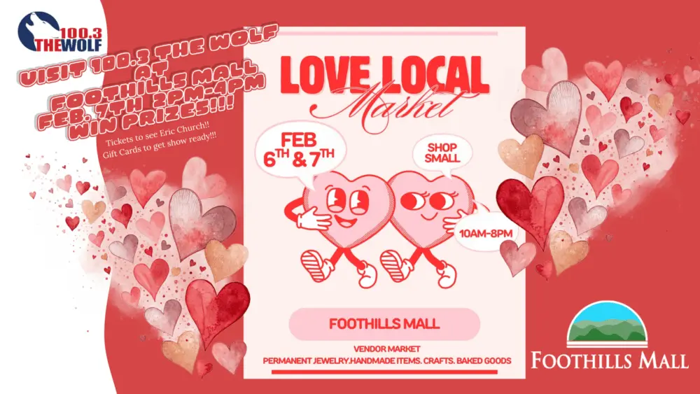 smokies-winter-wonderland-light-show-3