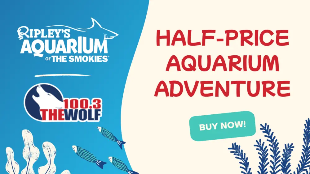 wcyq-ripleys_1920x1080