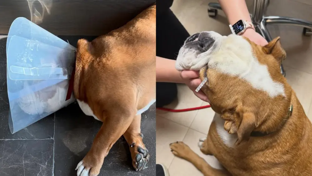 69d43beec5e7d449ae7b6159964780