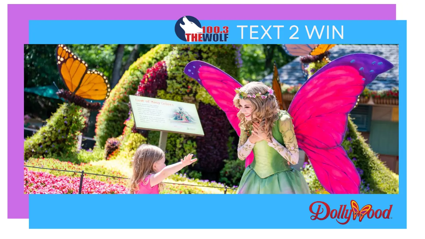 your-paragraph-text-11