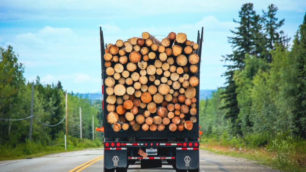 back-view-of-a-big-logging-truck-hauling-a-full-lo-2021-09-04-06-42-17-utc-min-1-1536x1024