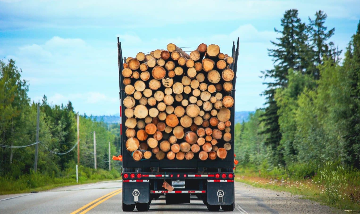 back-view-of-a-big-logging-truck-hauling-a-full-lo-2021-09-04-06-42-17-utc-min-1-1536x1024