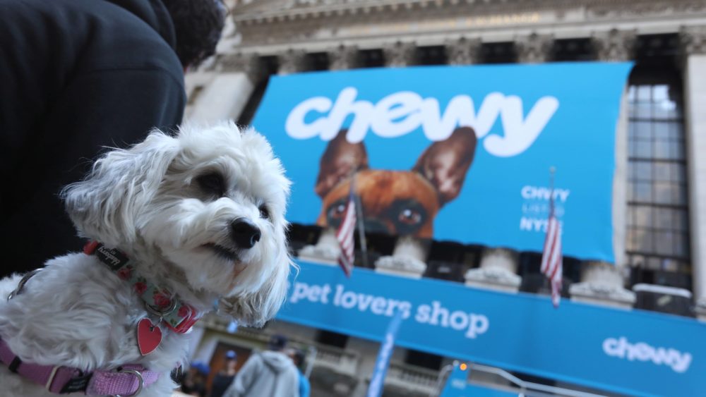 ellie-the-havanese-dog-is-seen-outside-the-new-york-stock-exchange-nyse-ahead-of-the-ipo-for-chewy-inc-in-new-york-city