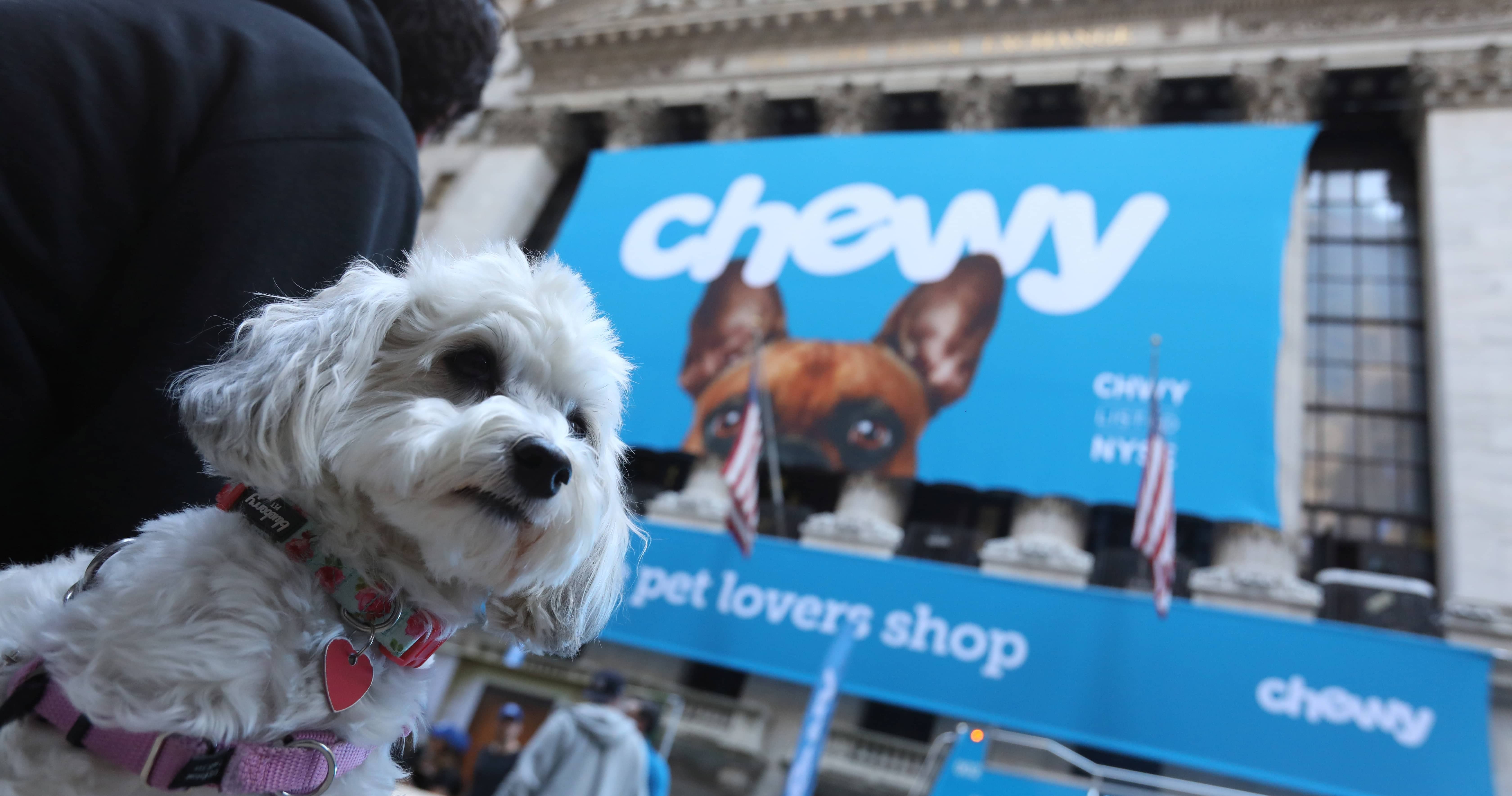 ellie-the-havanese-dog-is-seen-outside-the-new-york-stock-exchange-nyse-ahead-of-the-ipo-for-chewy-inc-in-new-york-city