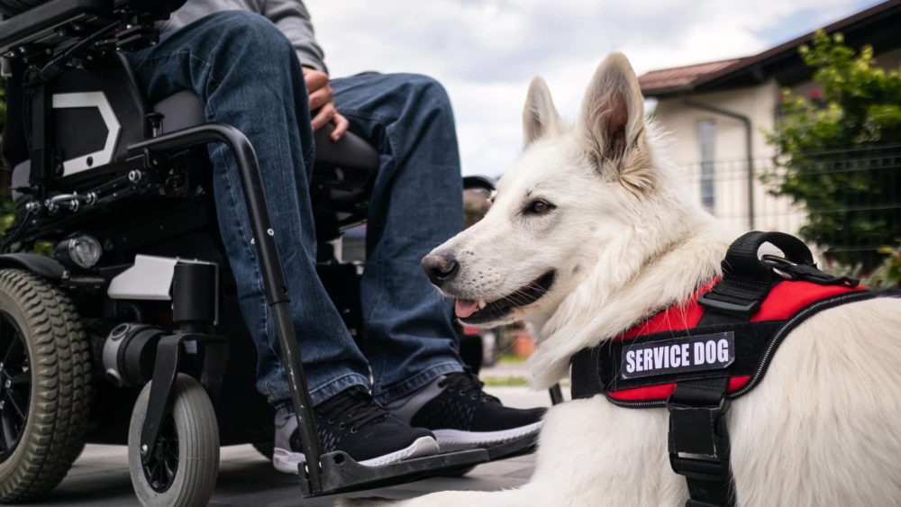 man-with-disability-and-service-dog
